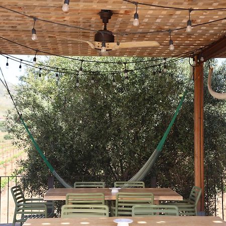 Alma Liebre Vinedos Del Valle Valle de Guadalupe Bagian luar foto