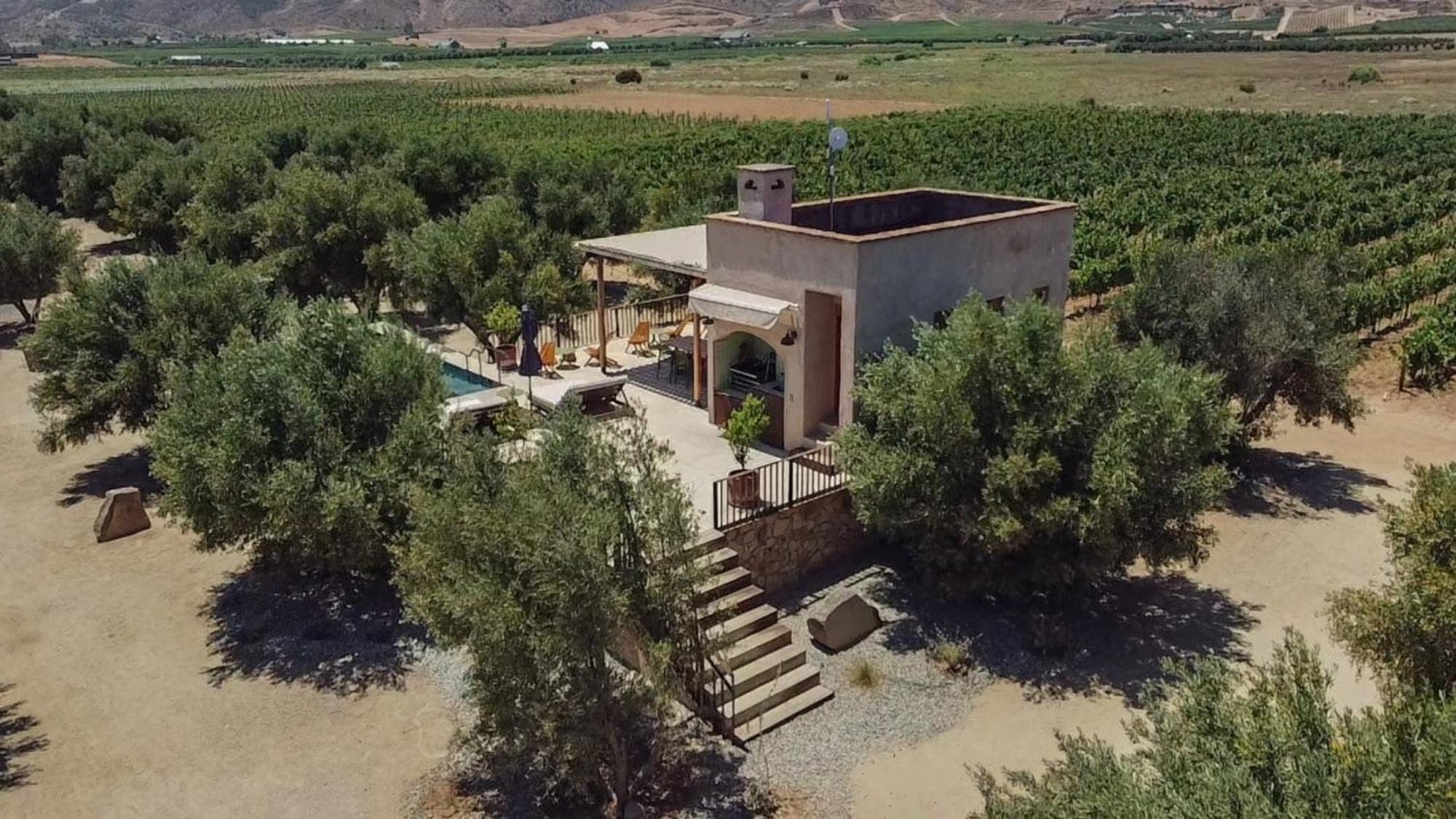 Alma Liebre Vinedos Del Valle Valle de Guadalupe Bagian luar foto