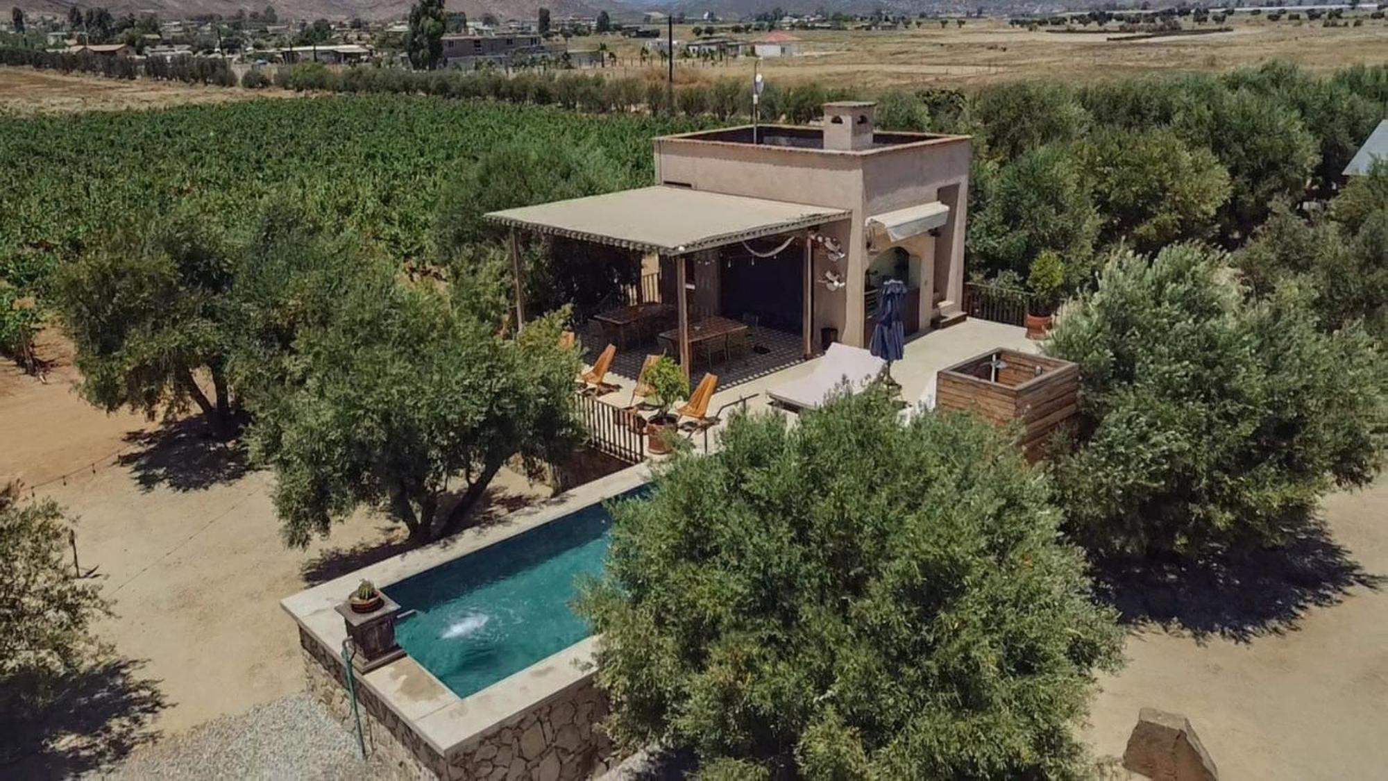 Alma Liebre Vinedos Del Valle Valle de Guadalupe Bagian luar foto