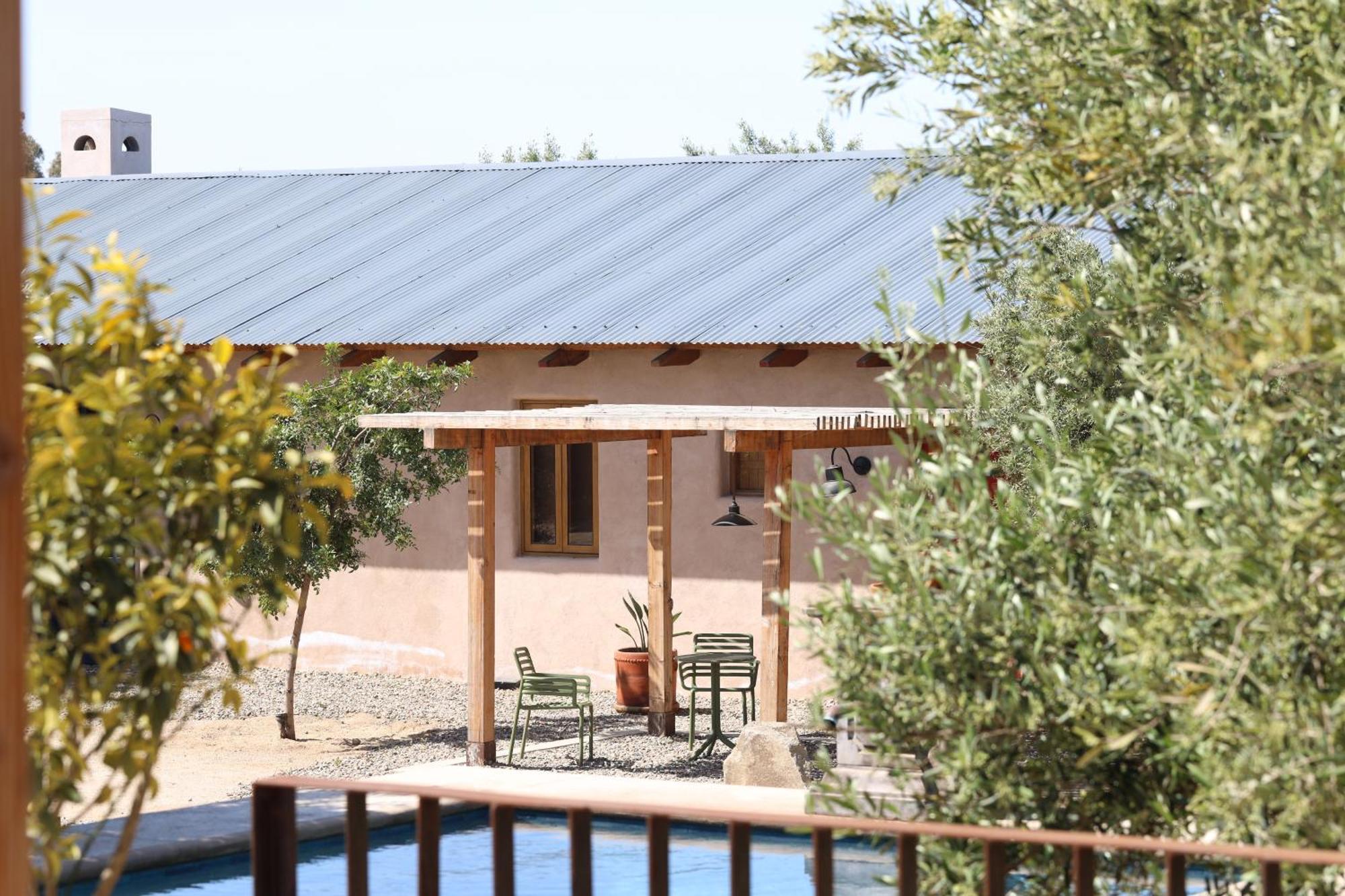 Alma Liebre Vinedos Del Valle Valle de Guadalupe Bagian luar foto