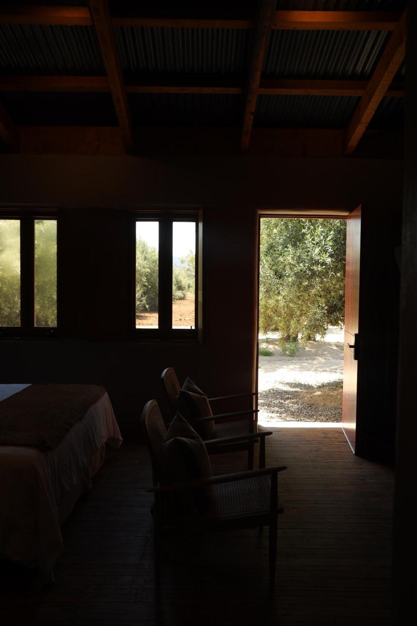 Alma Liebre Vinedos Del Valle Valle de Guadalupe Bagian luar foto
