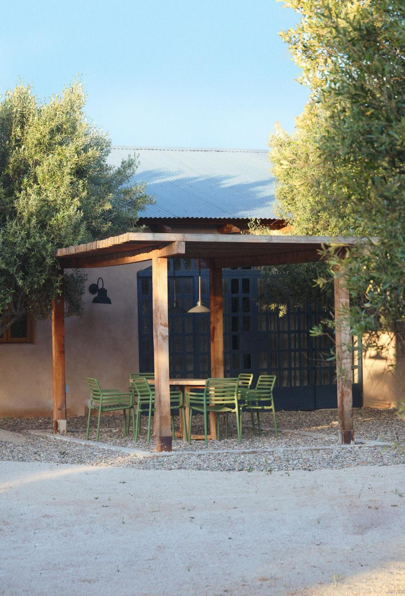 Alma Liebre Vinedos Del Valle Valle de Guadalupe Bagian luar foto